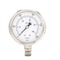 Pic Gauges 2 1/2 in Dial, 1/4 in NPT Male Lower Location, Stainless Steel Case Material PRO-301D-254N-01 - alternate 1